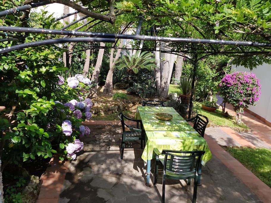 Giardino Mediterraneo Lacco Ameno  Exterior foto