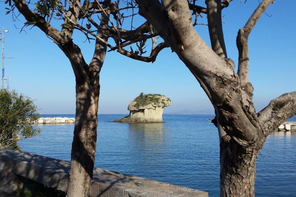 Giardino Mediterraneo Lacco Ameno  Exterior foto