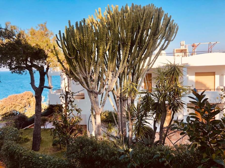 Giardino Mediterraneo Lacco Ameno  Exterior foto