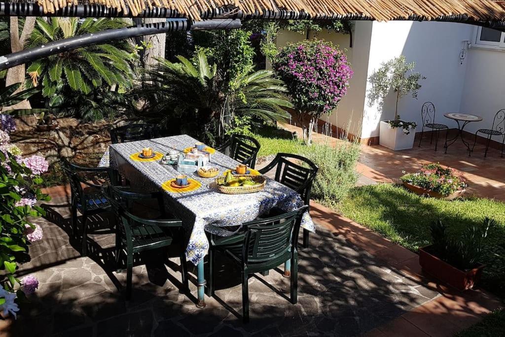 Giardino Mediterraneo Lacco Ameno  Exterior foto