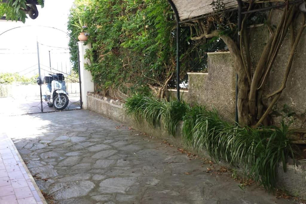 Giardino Mediterraneo Lacco Ameno  Exterior foto